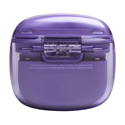 JBL Tune Flex 2